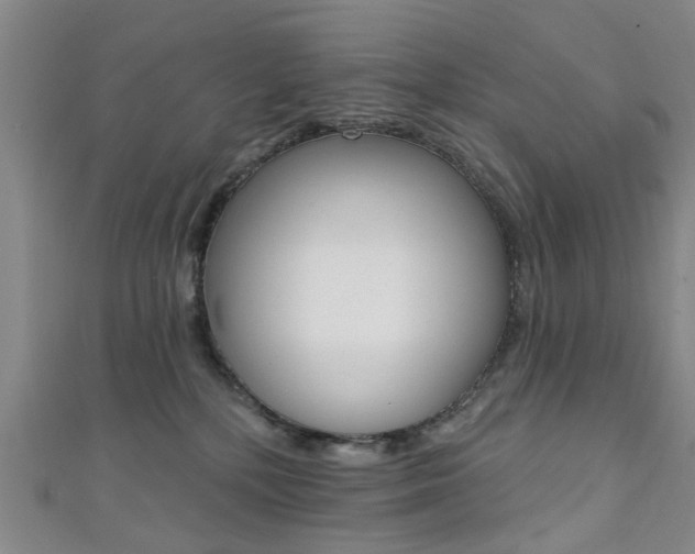 X0000111360232200907101003