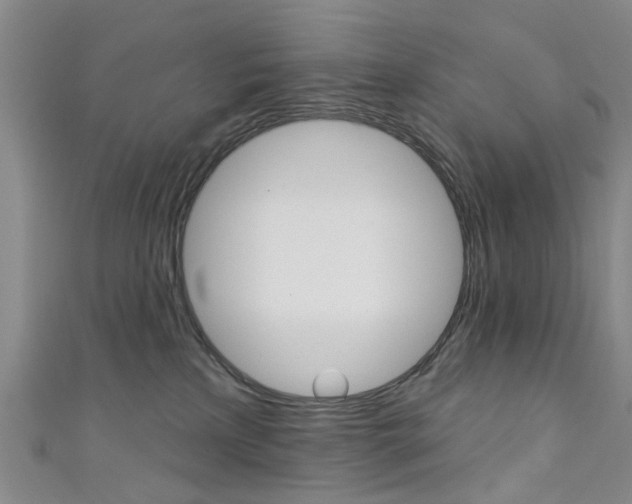 X0000111360233200907101003