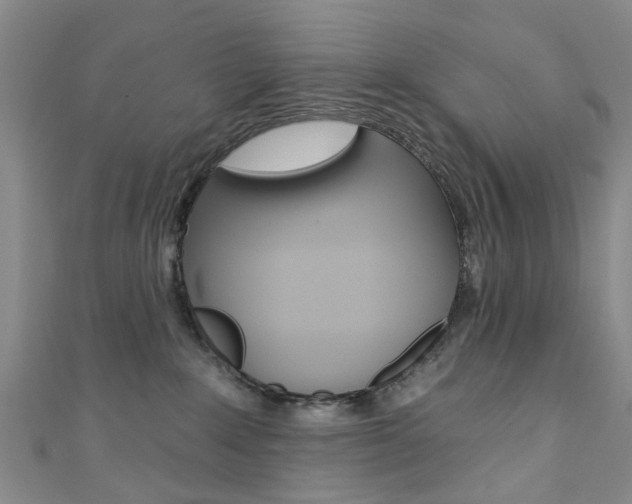 X0000111360235200907101003