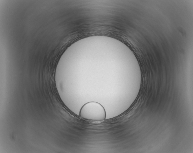 X0000111360237200907101003