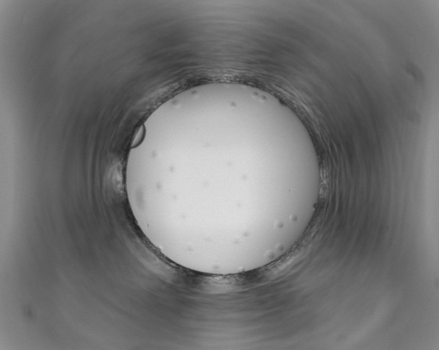 X0000111360238200907101003