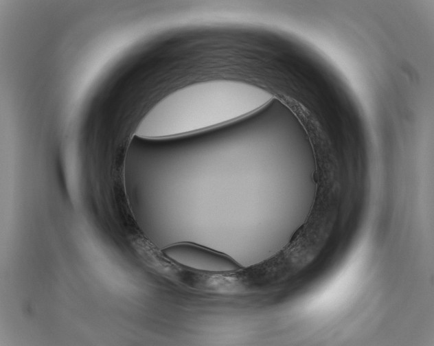 X0000111360239200907101003