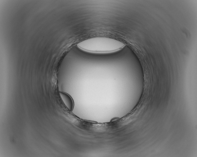 X0000111360240200907101003