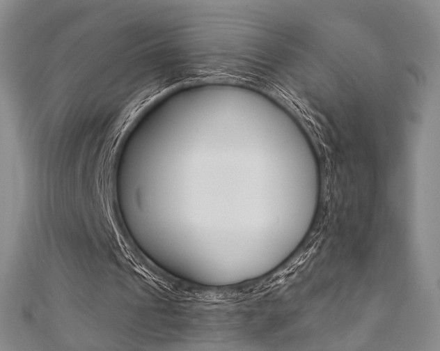 X0000111360241200907101002