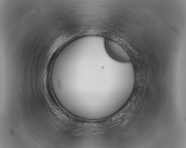 X0000111360242200907101002