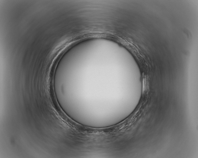 X0000111360243200907101002