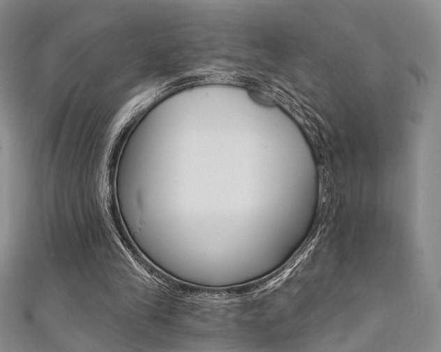 X0000111360245200907101002