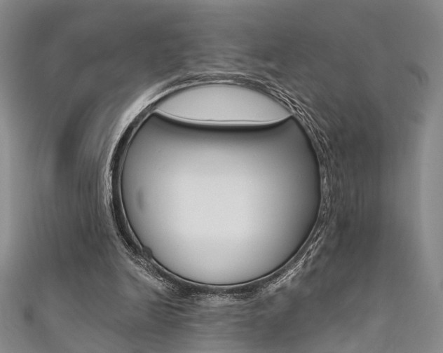 X0000111360246200907101002