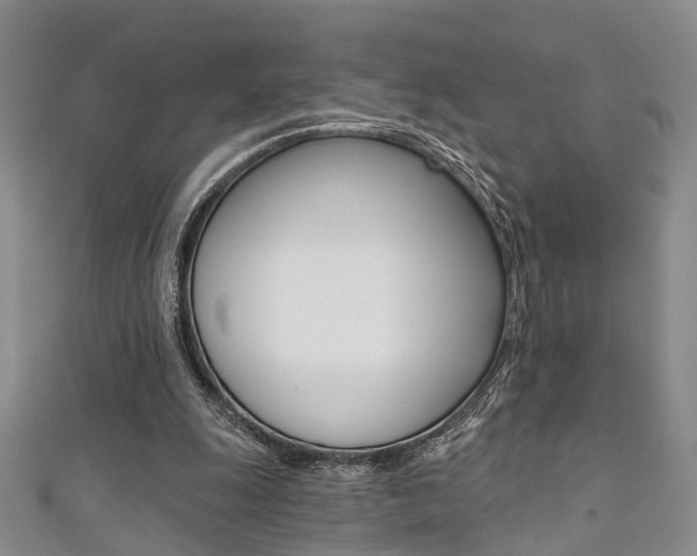 X0000111360247200907101002