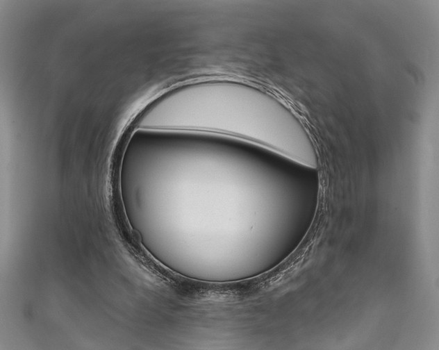 X0000111360248200907101002