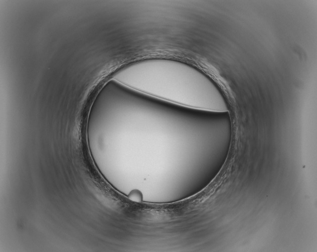 X0000111360250200907101002