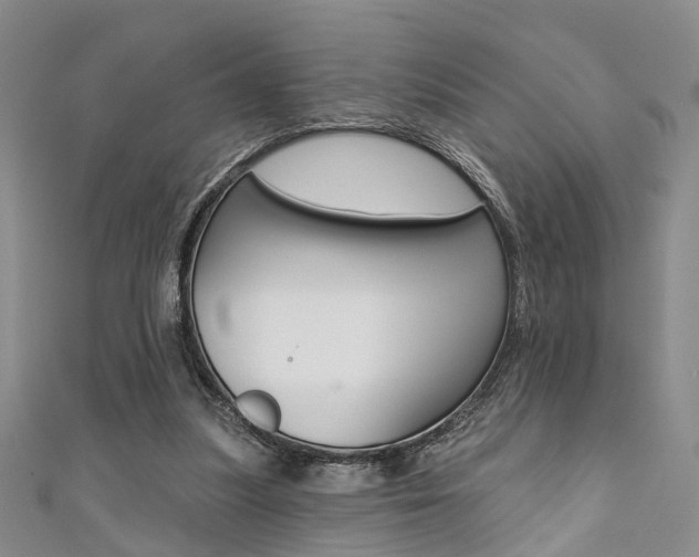 X0000111360251200907101002