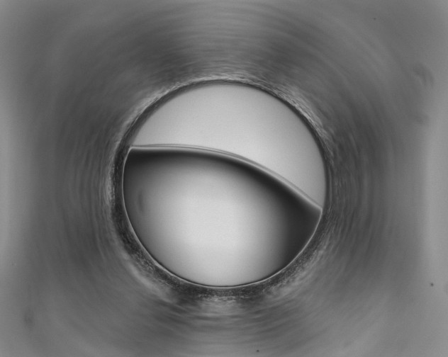 X0000111360252200907101002