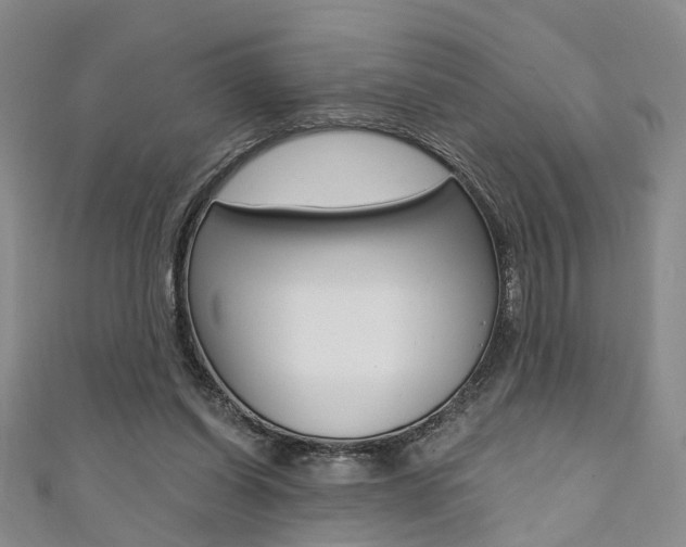 X0000111360254200907101002