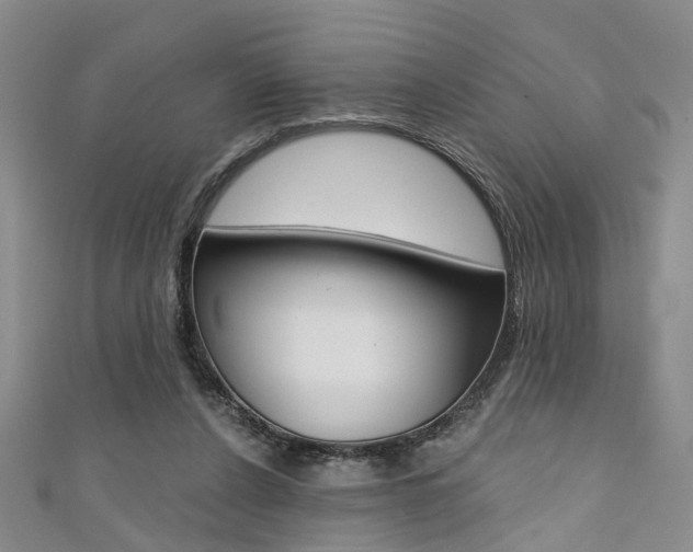 X0000111360256200907101002