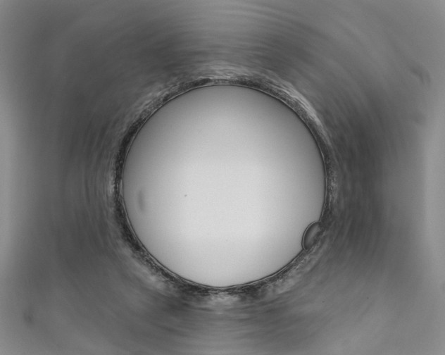 X0000111360257200907101003