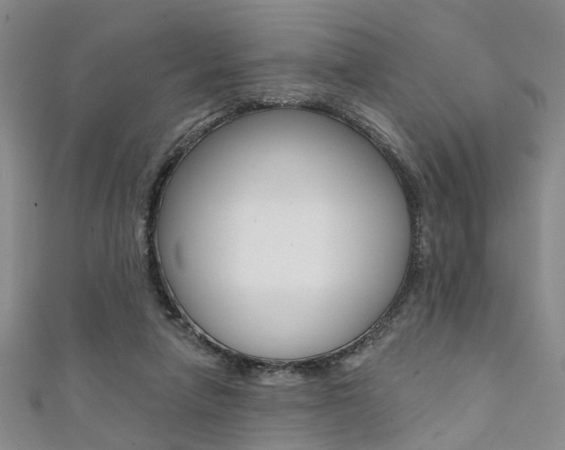 X0000111360258200907101003