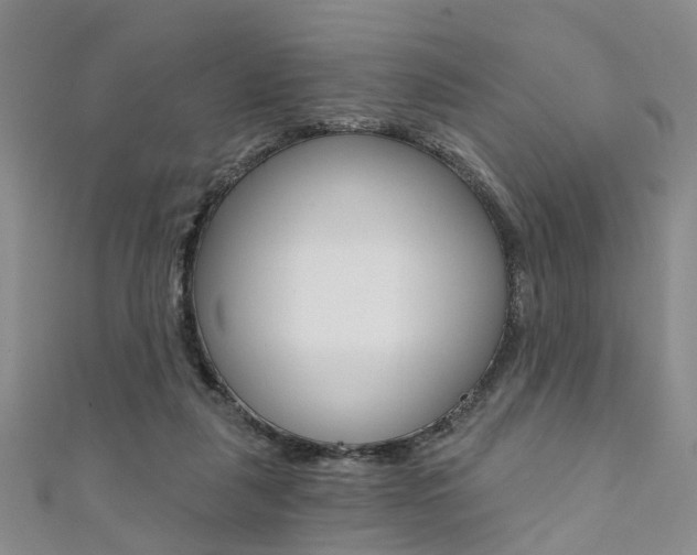 X0000111360259200907101003