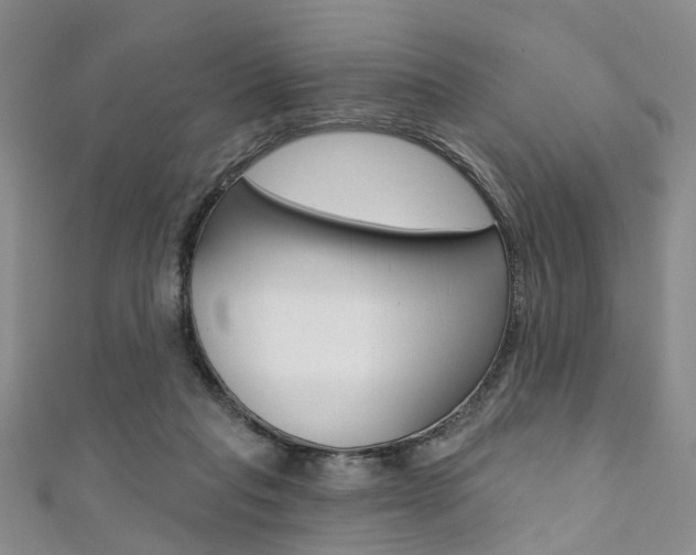 X0000111360261200907101003