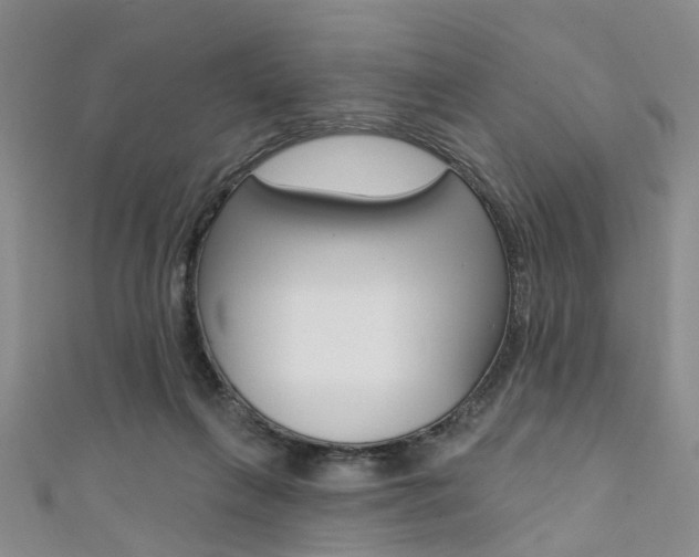 X0000111360263200907101003
