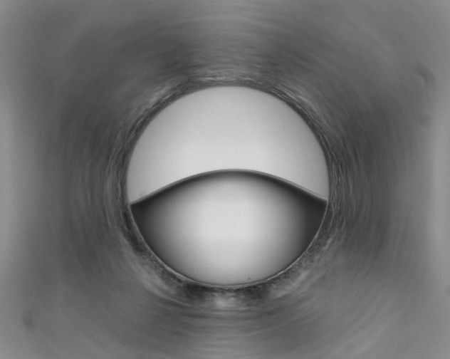 X0000111360264200907101003
