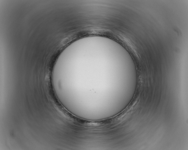 X0000111360265200907101003
