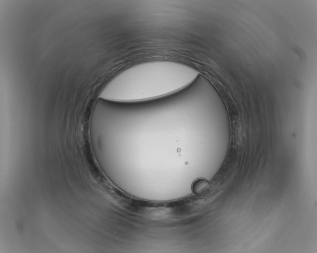 X0000111360266200907101003