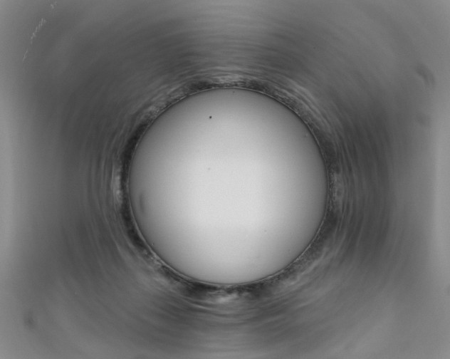 X0000111360267200907101003