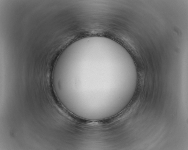 X0000111360269200907101003