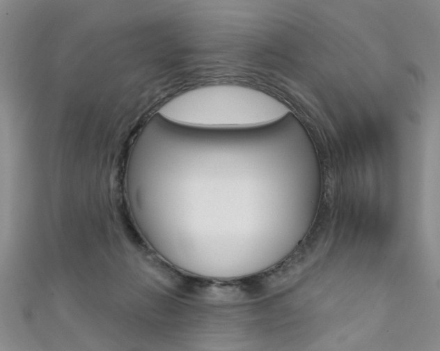 X0000111360270200907101003
