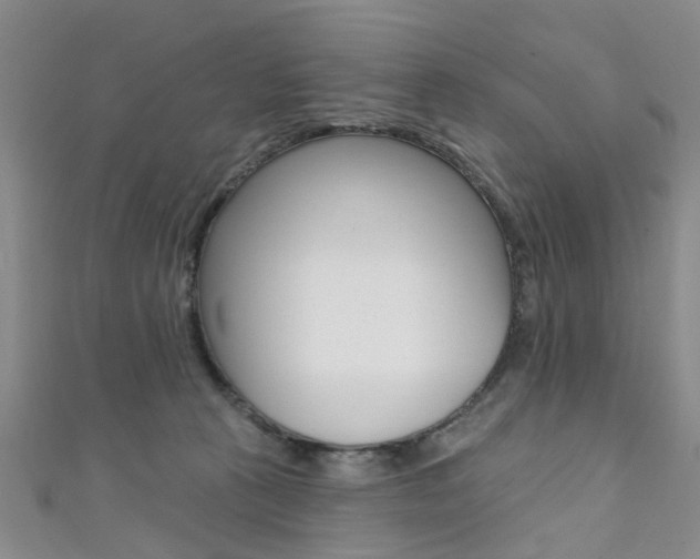 X0000111360273200907101003