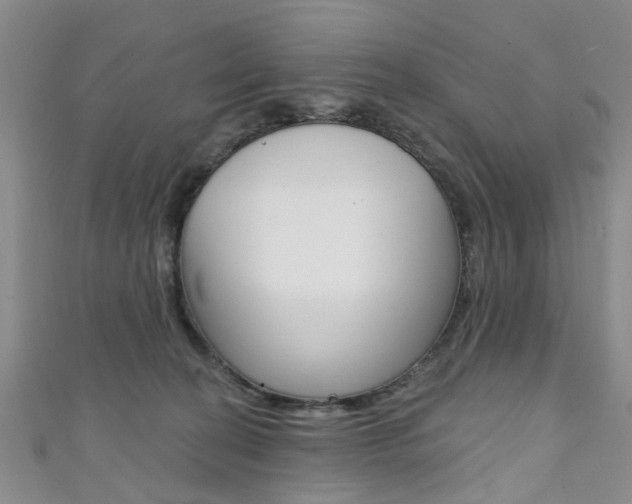 X0000111360274200907101003