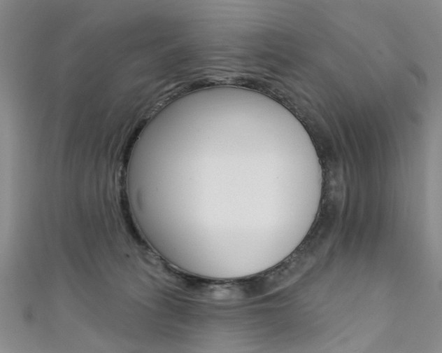 X0000111360275200907101003