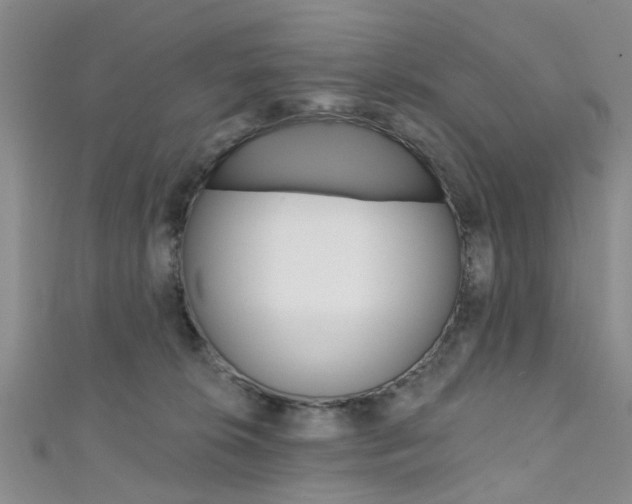 X0000111360276200907101003
