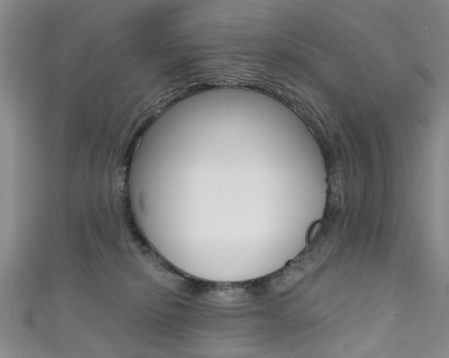 X0000111360278200907101003