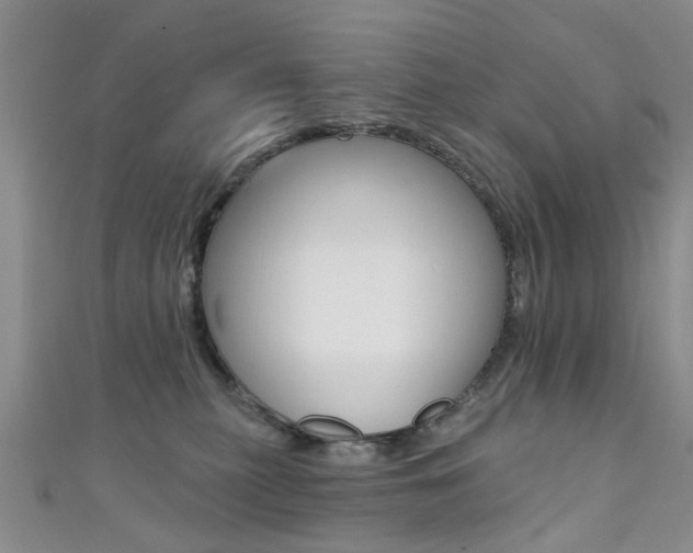 X0000111360279200907101003