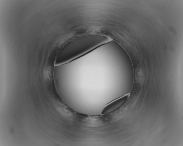 X0000111360280200907101003
