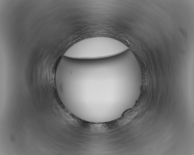 X0000111360281200907101003