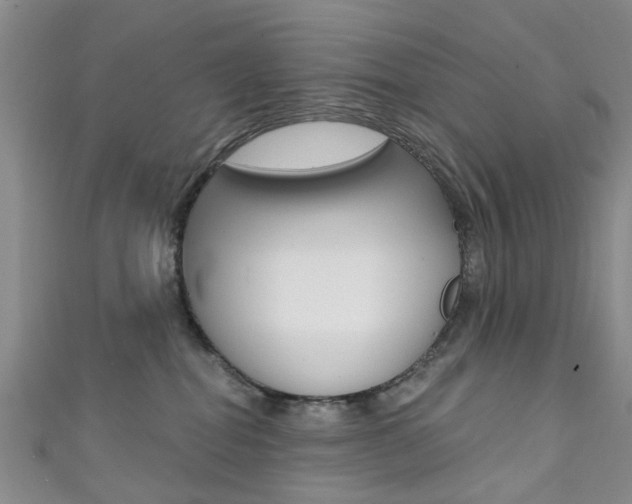 X0000111360282200907101003