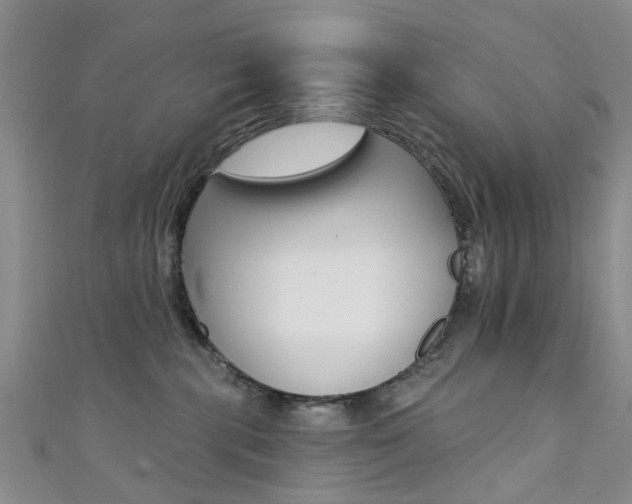 X0000111360283200907101003
