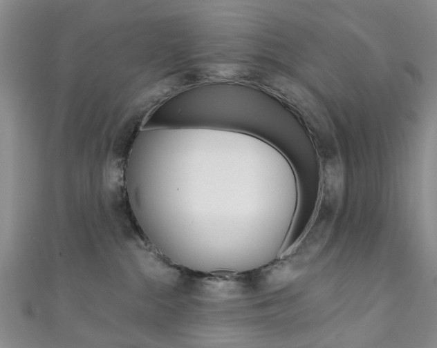 X0000111360284200907101003