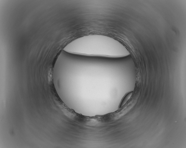 X0000111360285200907101003
