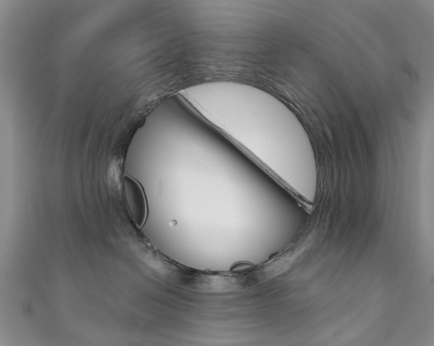 X0000111360286200907101003