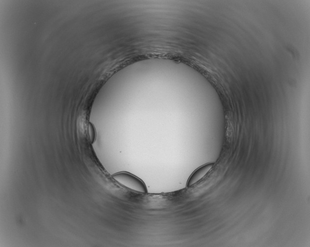 X0000111360287200907101003