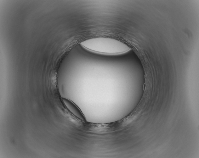 X0000111360288200907101003