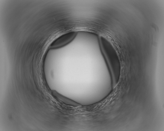 X0000111360289200907101002