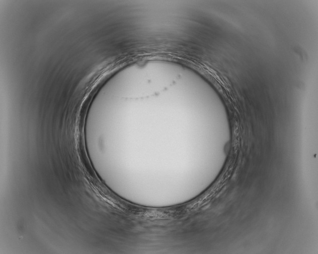 X0000111360290200907101002
