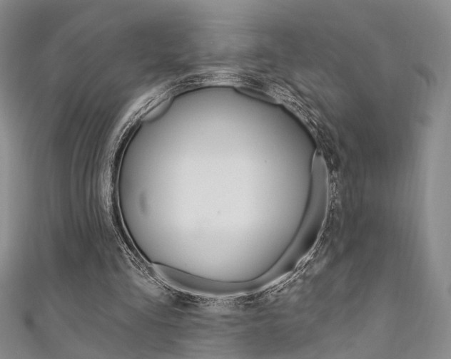 X0000111360293200907101002