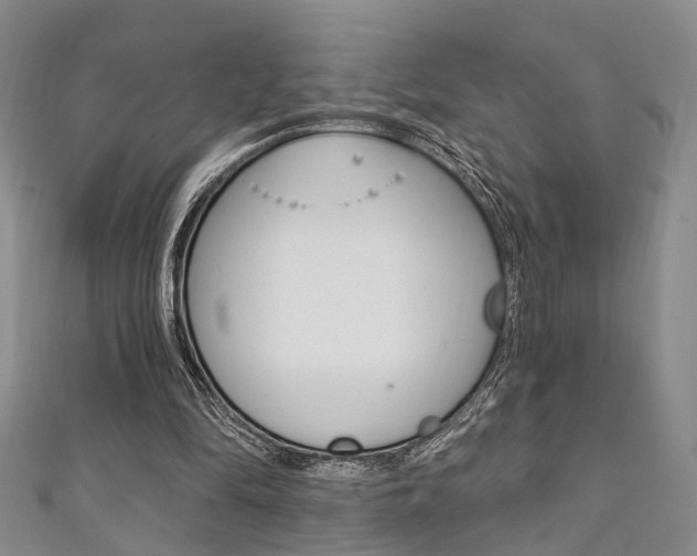 X0000111360294200907101002