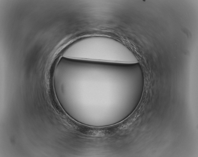 X0000111360295200907101002